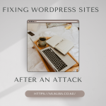 fixing wordpress sites